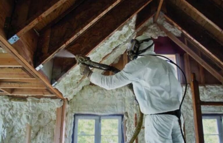 whatsapp image 2026 03 10 at 12.27.38 (1)