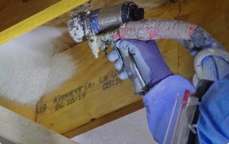 whatsapp image 2026 03 10 at 12.27.38