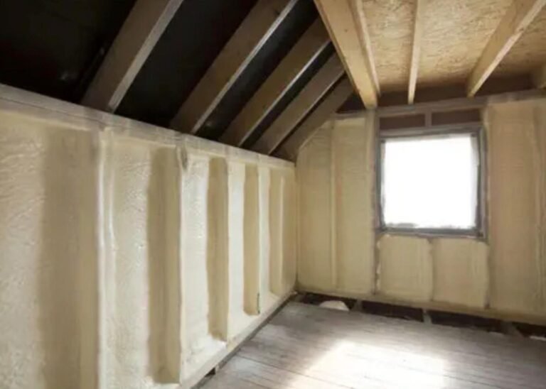 whatsapp image 2026 03 10 at 12.27.39