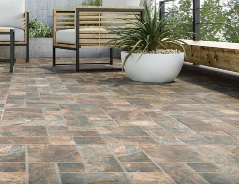 whatsapp image 2026 03 10 at 12.33.59